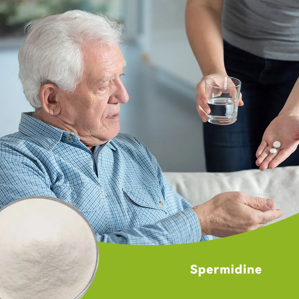 Spermidine