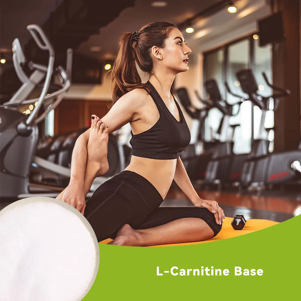 L-Carnitine Base