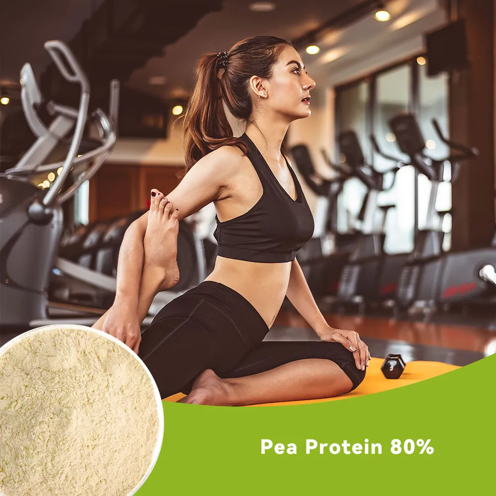 Pea Protein